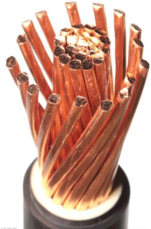 电缆.jpg