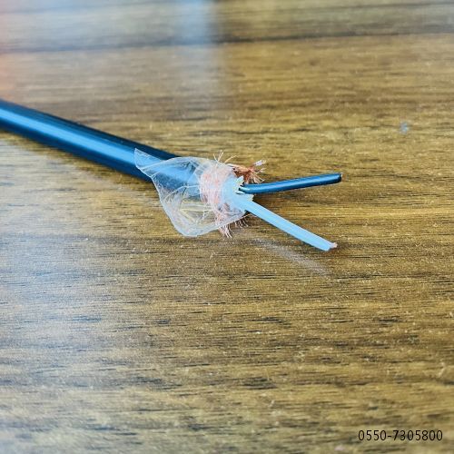 IMG_1359.jpg IMG_1359.jpg