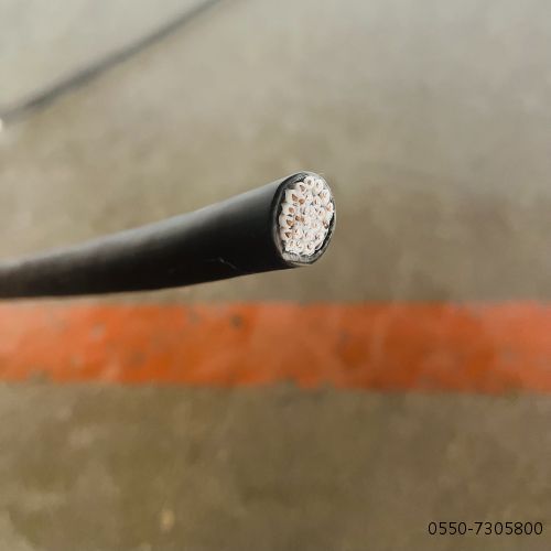 µçÀÂ.79.jpg µçÀÂ.79.jpg