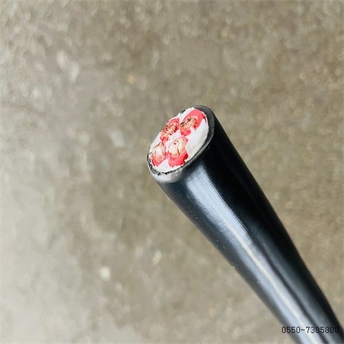 ÌØÖÖµçÀ³§¼Ò100.jpg ÌØÖÖµçÀ³§¼Ò100.jpg