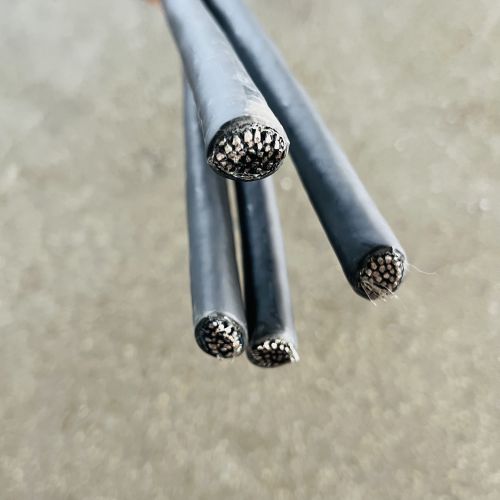 IMG_0470.jpg IMG_0470.jpg