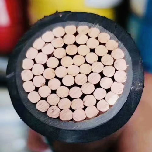 IMG_3999.jpg IMG_3999.jpg