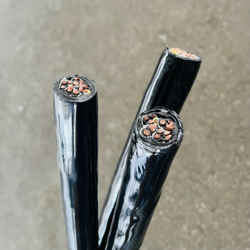 IMG_8546.jpg IMG_8546.jpg