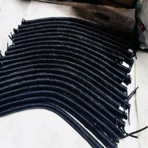 IMG_6477.jpg IMG_6477.jpg