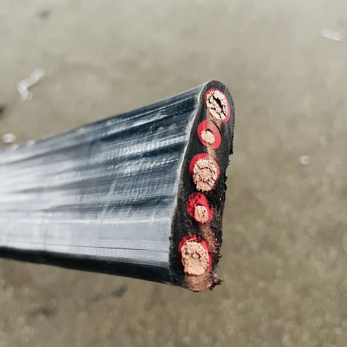 IMG_6104.jpg IMG_6104.jpg