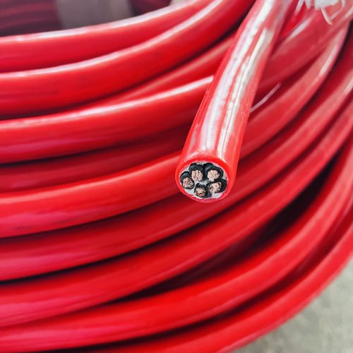 IMG_2209.jpg IMG_2209.jpg