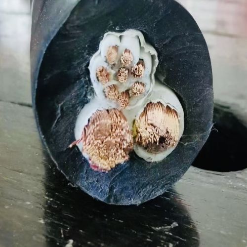 IMG_5893.jpg IMG_5893.jpg