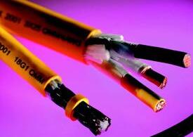 201703272115536299 201703272115536299