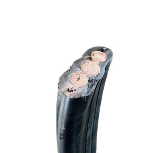 202411281007561569 202411281007561569