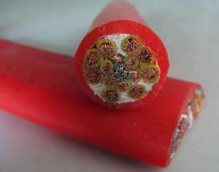 腾博汇游戏官网 - 诚信为本,专业服务!