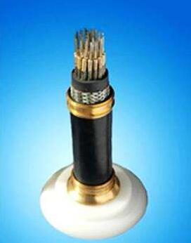 �ڲ�����Ϸ���� - ����Ϊ��,רҵ����!