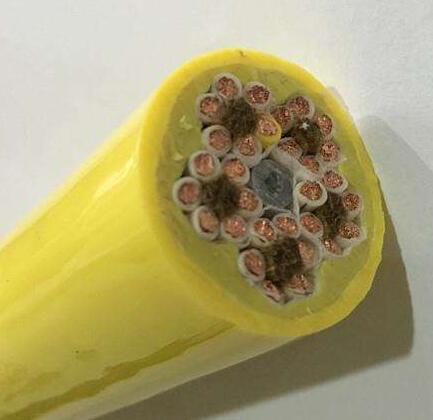 �ڲ�����Ϸ���� - ����Ϊ��,רҵ����!