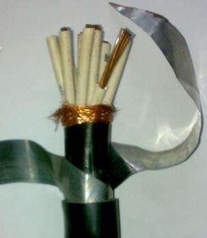 �ڲ�����Ϸ���� - ����Ϊ��,רҵ����!