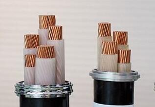 �ڲ�����Ϸ���� - ����Ϊ��,רҵ����!