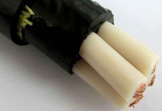 �ڲ�����Ϸ���� - ����Ϊ��,רҵ����!