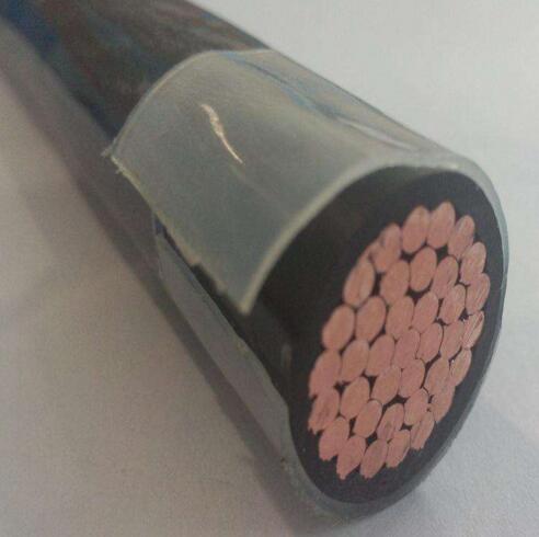 �ڲ�����Ϸ���� - ����Ϊ��,רҵ����!