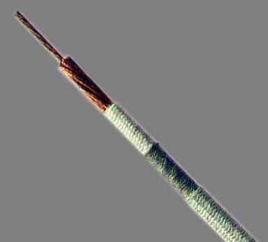 腾博汇游戏官网 - 诚信为本,专业服务!