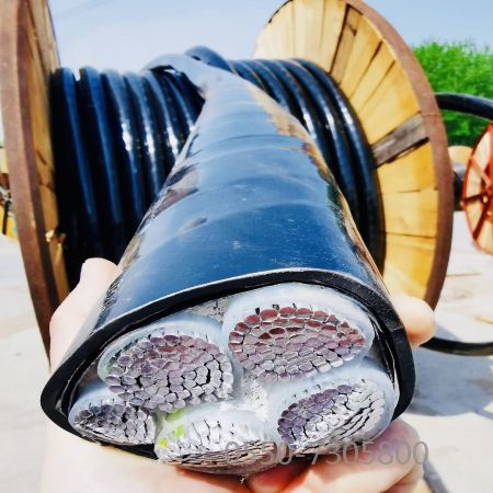 �ڲ�����Ϸ���� - ����Ϊ��,רҵ����!