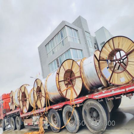 �ڲ�����Ϸ���� - ����Ϊ��,רҵ����!