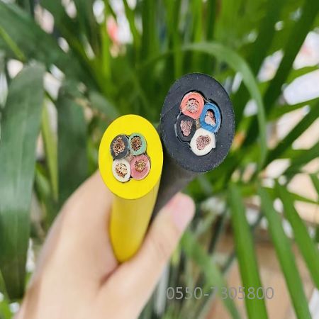 腾博汇游戏官网 - 诚信为本,专业服务!