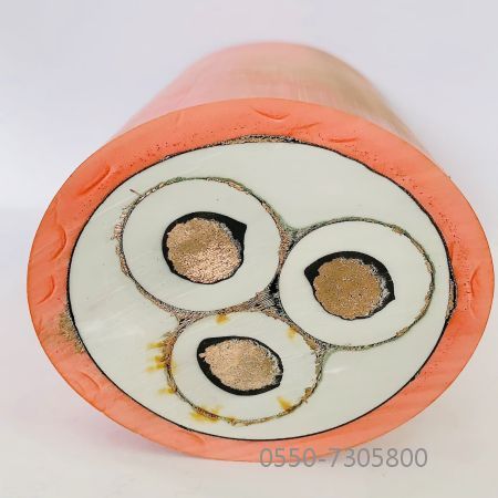 �ڲ�����Ϸ���� - ����Ϊ��,רҵ����!