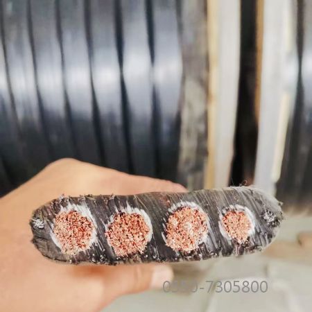 �ڲ�����Ϸ���� - ����Ϊ��,רҵ����!