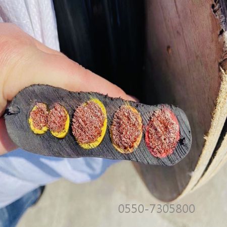 �ڲ�����Ϸ���� - ����Ϊ��,רҵ����!