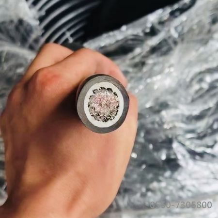 腾博汇游戏官网 - 诚信为本,专业服务!