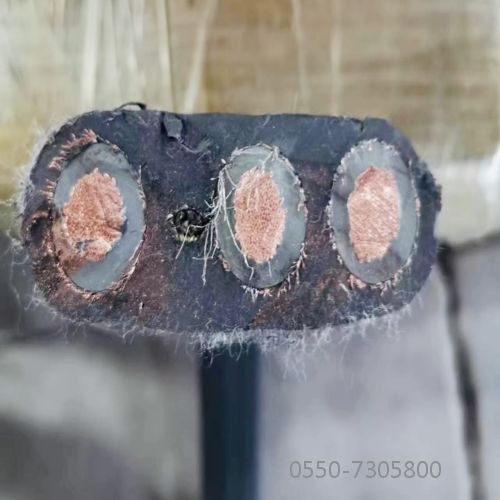 �ڲ�����Ϸ���� - ����Ϊ��,רҵ����!