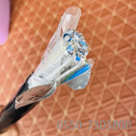 腾博汇游戏官网 - 诚信为本,专业服务!