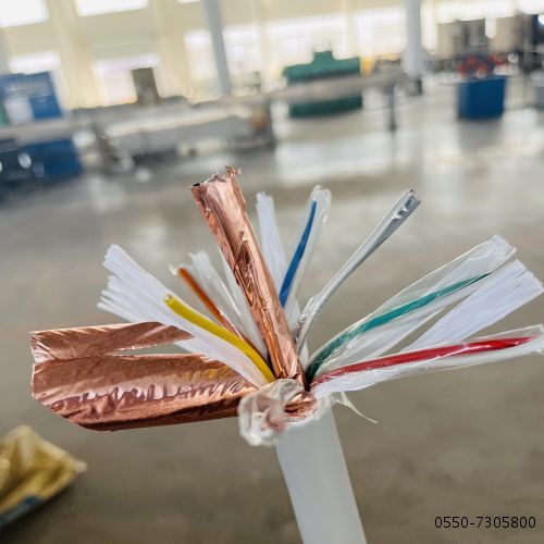 �ڲ�����Ϸ���� - ����Ϊ��,רҵ����!