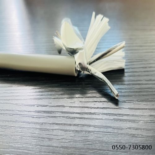 �ڲ�����Ϸ���� - ����Ϊ��,רҵ����!