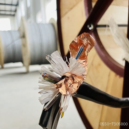 �ڲ�����Ϸ���� - ����Ϊ��,רҵ����!