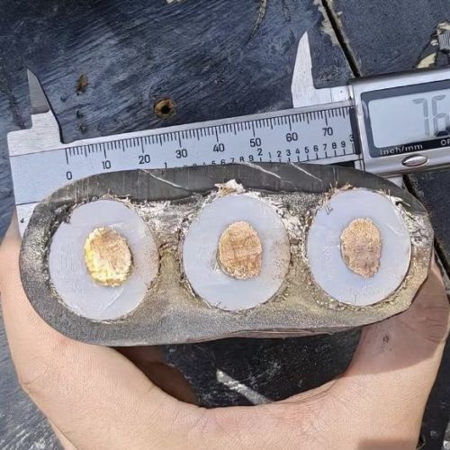 �ڲ�����Ϸ���� - ����Ϊ��,רҵ����!