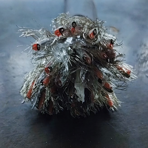 �ڲ�����Ϸ���� - ����Ϊ��,רҵ����!