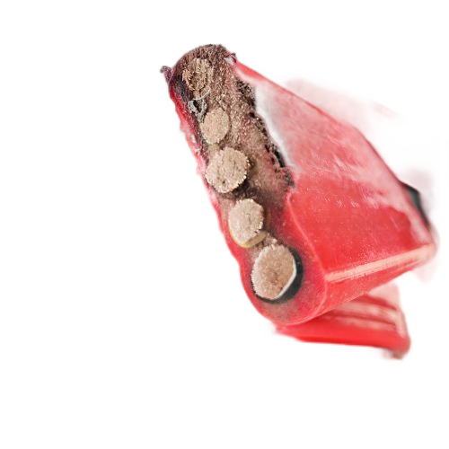 �ڲ�����Ϸ���� - ����Ϊ��,רҵ����!