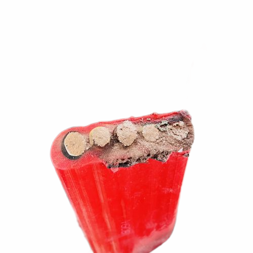 �ڲ�����Ϸ���� - ����Ϊ��,רҵ����!