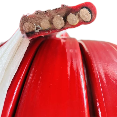 �ڲ�����Ϸ���� - ����Ϊ��,רҵ����!