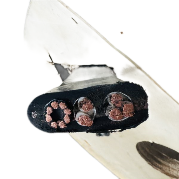 �ڲ�����Ϸ���� - ����Ϊ��,רҵ����!