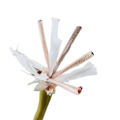 �ڲ�����Ϸ���� - ����Ϊ��,רҵ����!