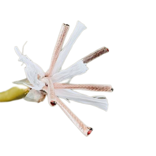 �ڲ�����Ϸ���� - ����Ϊ��,רҵ����!