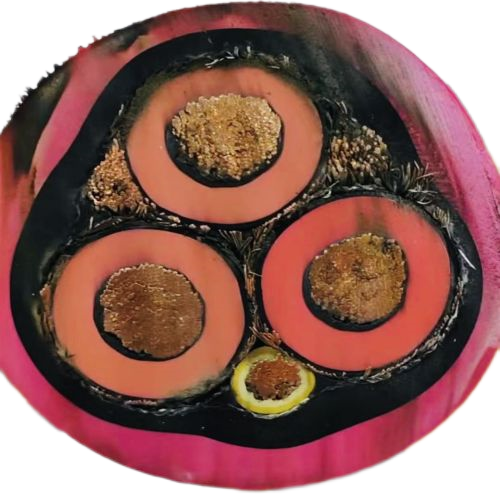 �ڲ�����Ϸ���� - ����Ϊ��,רҵ����!