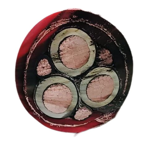 �ڲ�����Ϸ���� - ����Ϊ��,רҵ����!