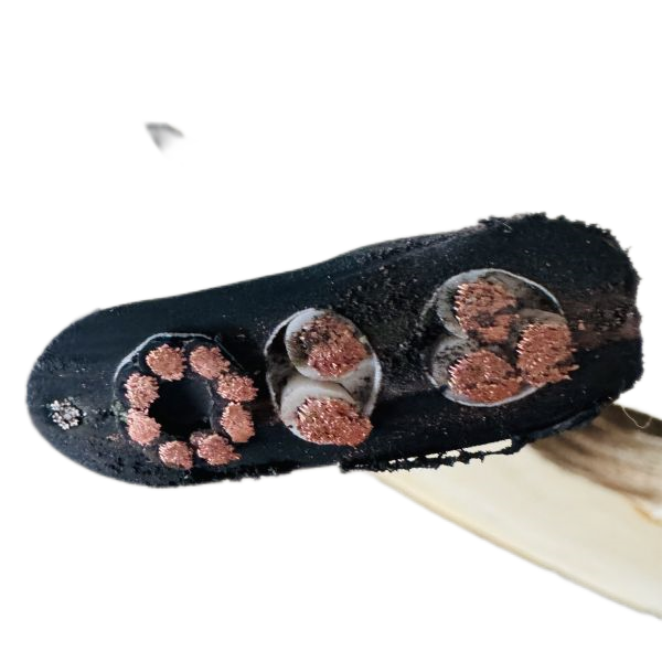 �ڲ�����Ϸ���� - ����Ϊ��,רҵ����!