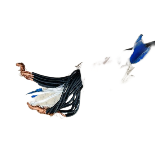 �ڲ�����Ϸ���� - ����Ϊ��,רҵ����!