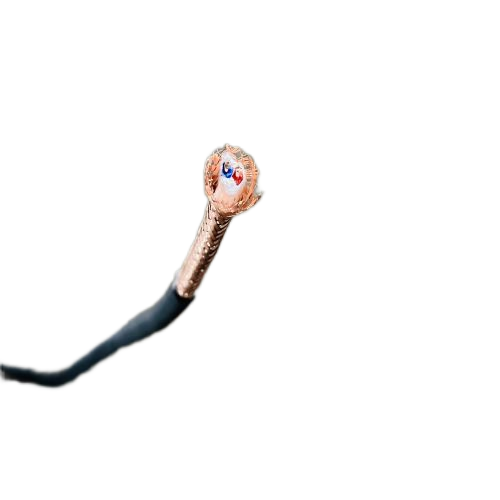 �ڲ�����Ϸ���� - ����Ϊ��,רҵ����!