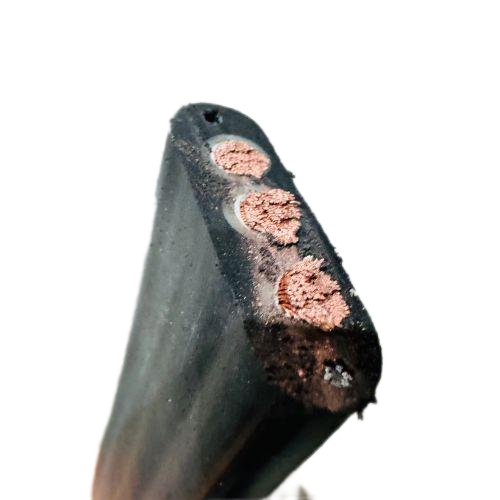 �ڲ�����Ϸ���� - ����Ϊ��,רҵ����!