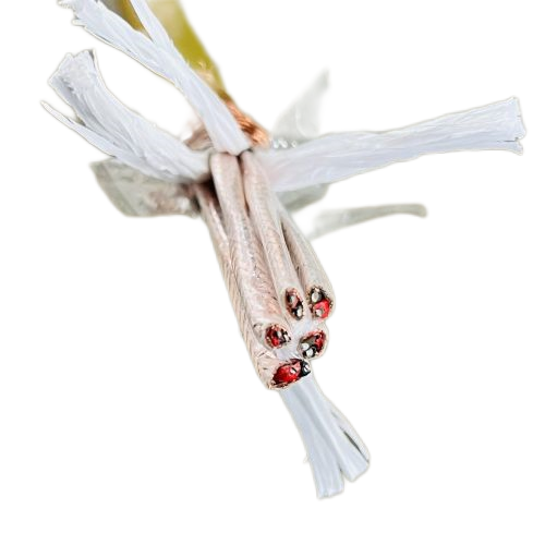 �ڲ�����Ϸ���� - ����Ϊ��,רҵ����!