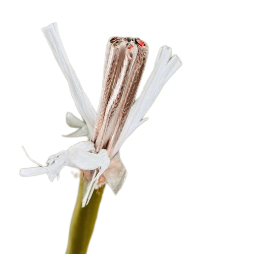 �ڲ�����Ϸ���� - ����Ϊ��,רҵ����!