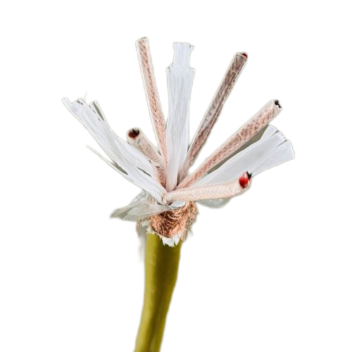 �ڲ�����Ϸ���� - ����Ϊ��,רҵ����!